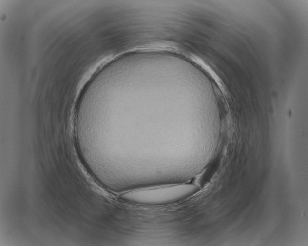 X0000084021477200703161727