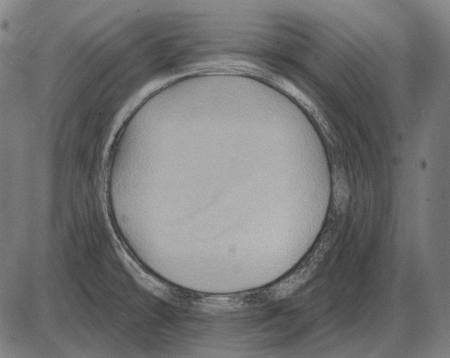 X0000084021478200703161727