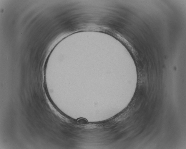 X0000084021479200703161727