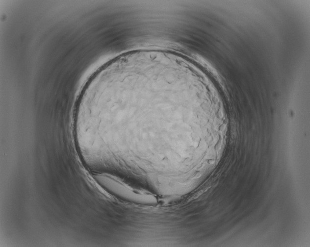 X0000084021480200703161727