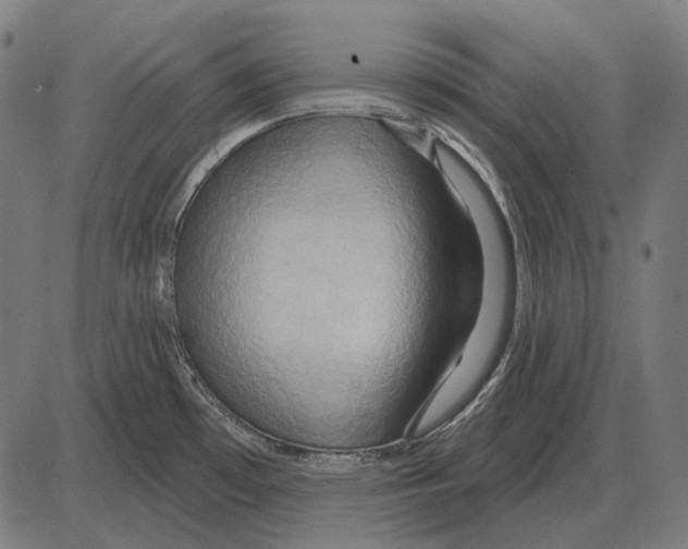 X0000084021481200703161727