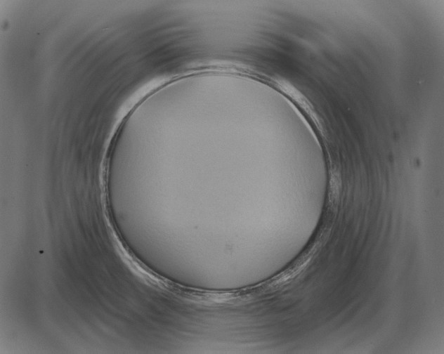 X0000084021482200703161727