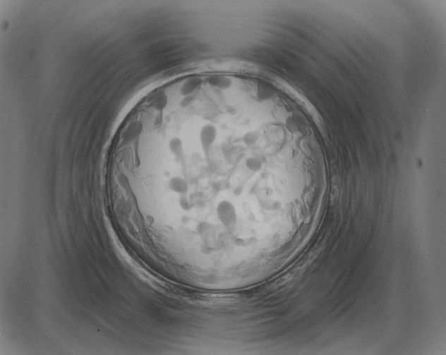 X0000084021483200703161727