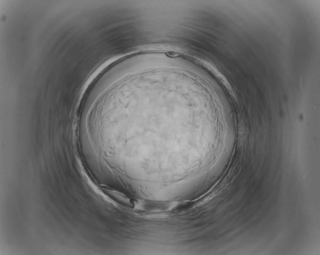 X0000084021484200703161727