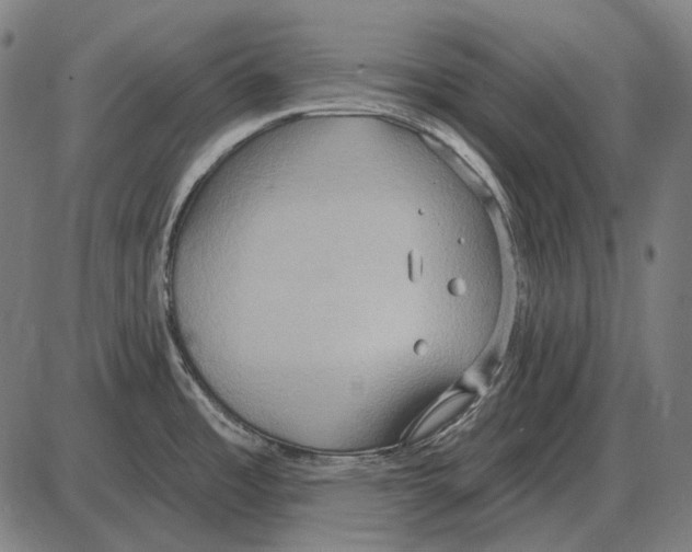 X0000084021485200703161726