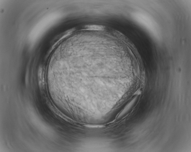 X0000084021487200703161726