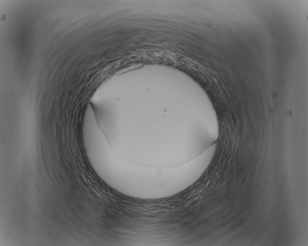 X0000084021489200703161726