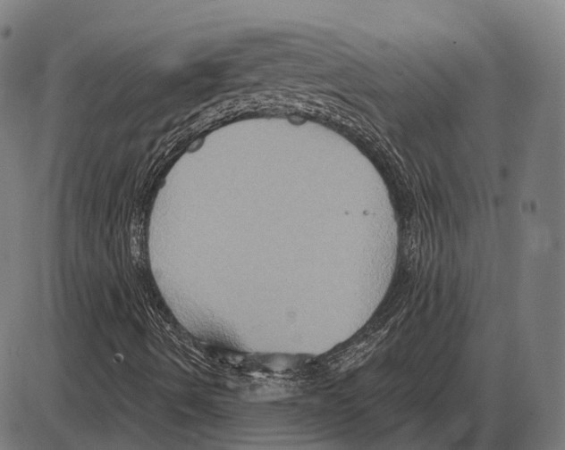 X0000084021490200703161726