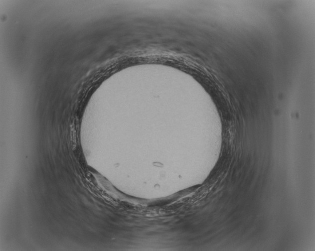 X0000084021493200703161726