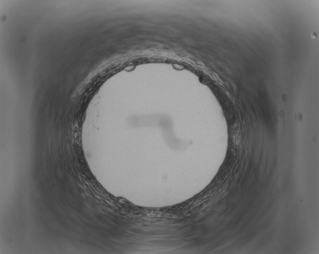 X0000084021495200703161726