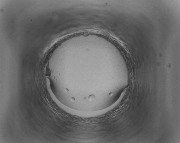 X0000084021496200703161726