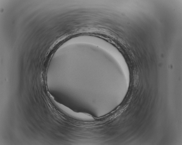 X0000084021497200703161726