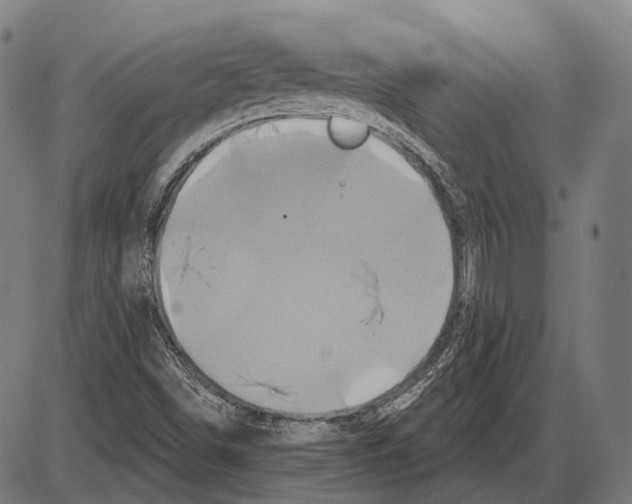 X0000084021498200703161726