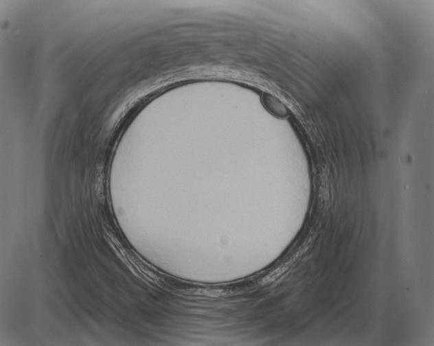 X0000084021499200703161726