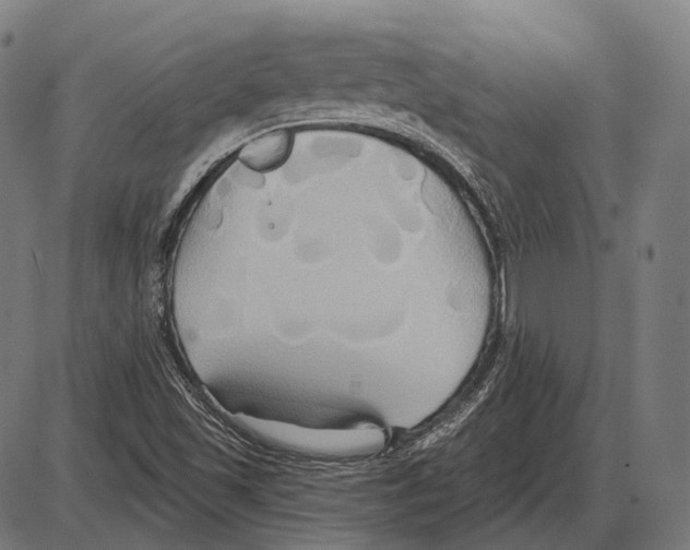 X0000084021501200703161726