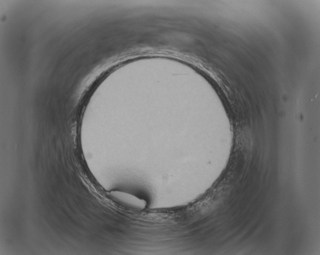 X0000084021503200703161726