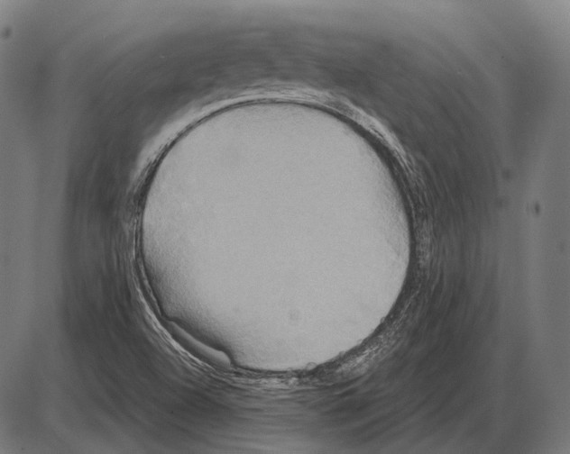 X0000084021504200703161726