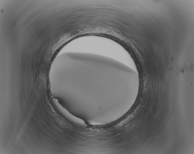 X0000084021505200703161726