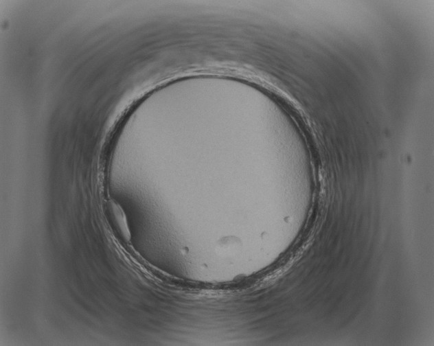 X0000084021506200703161726