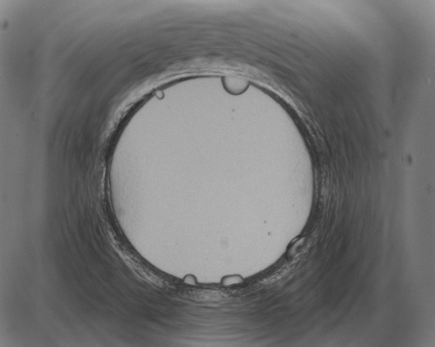 X0000084021507200703161726