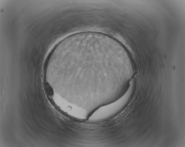 X0000084021508200703161726