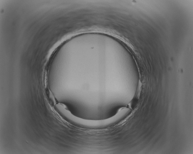 X0000084021510200703161726