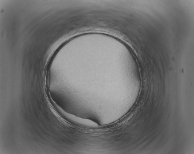 X0000084021511200703161726