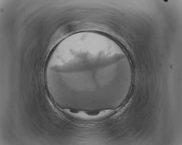 X0000084021513200703161726