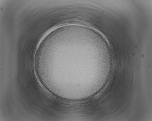 X0000084021514200703161726