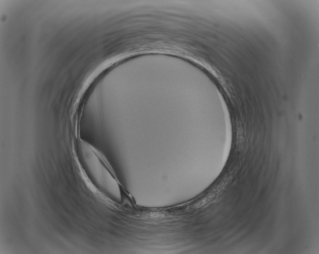 X0000084021515200703161726