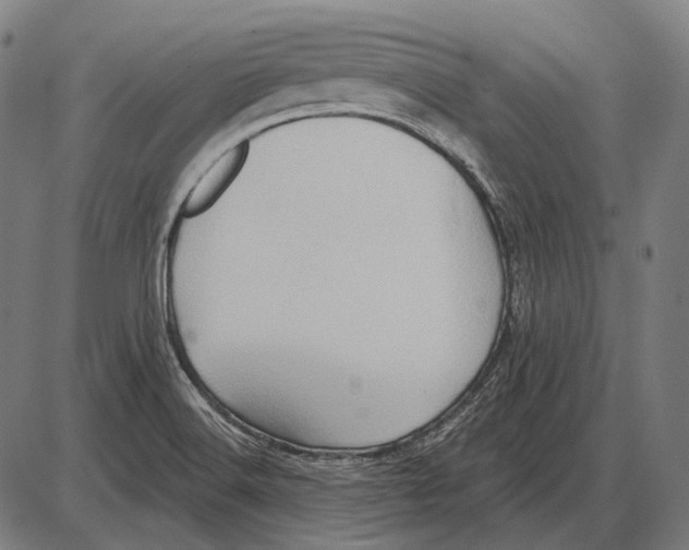 X0000084021516200703161726