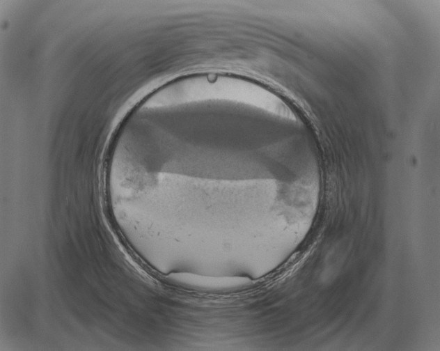 X0000084021517200703161726