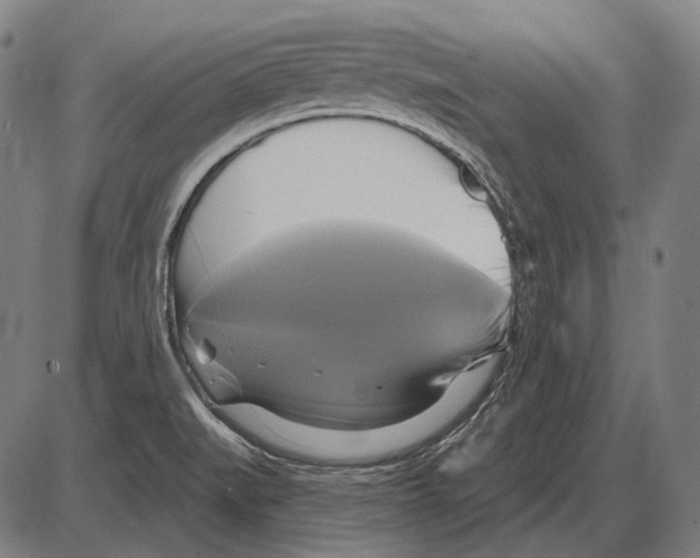 X0000084021519200703161726