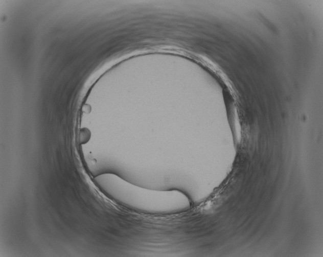 X0000084021520200703161726