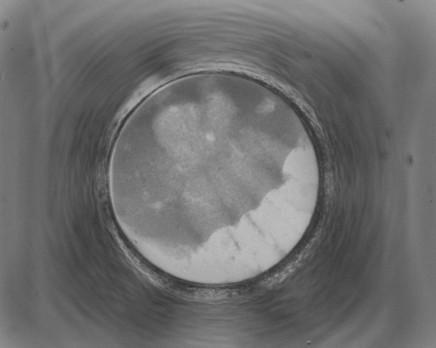 X0000084021521200703161726