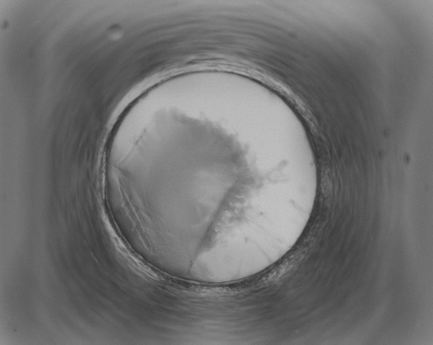 X0000084021522200703161726