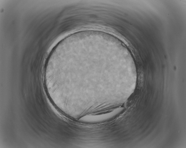 X0000084021523200703161726