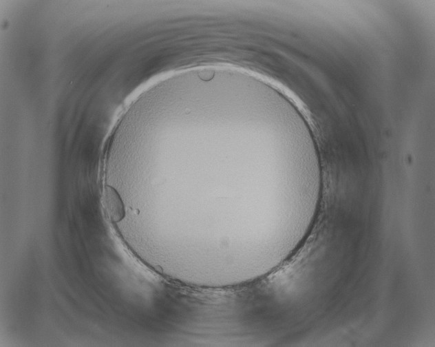 X0000084021526200703161726