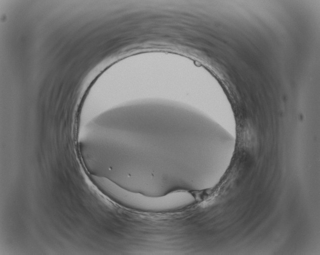 X0000084021527200703161726