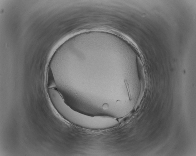 X0000084021528200703161726