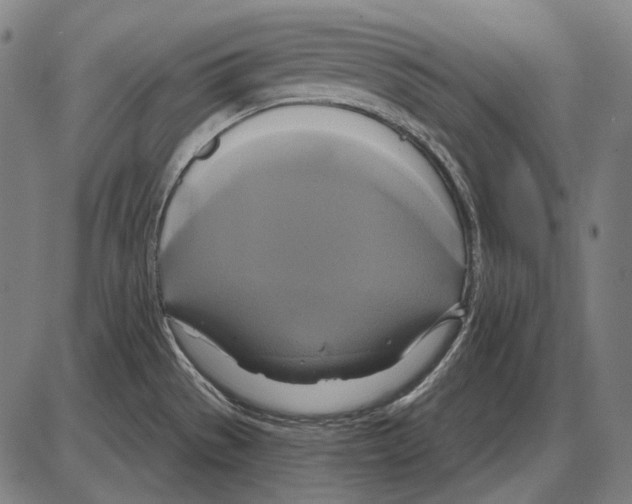 X0000084021529200703161726