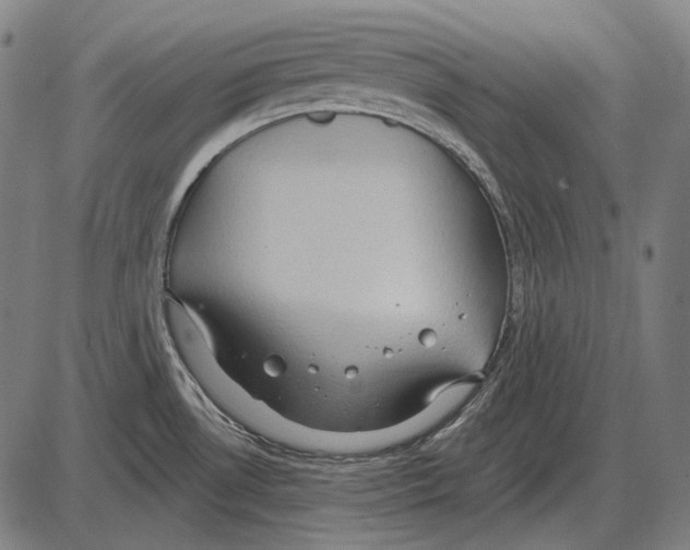 X0000084021530200703161726