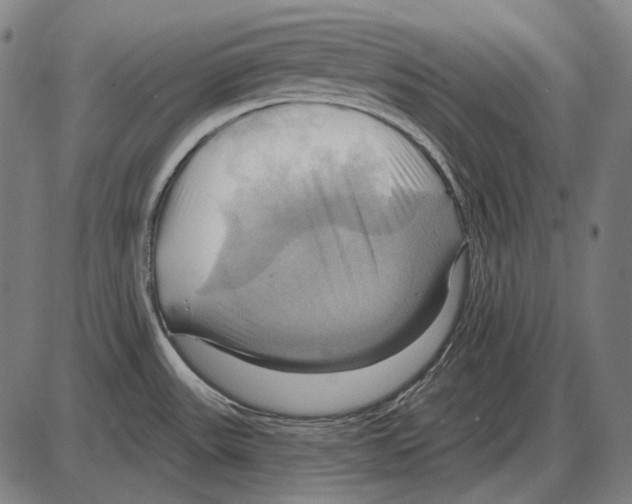 X0000084021531200703161726