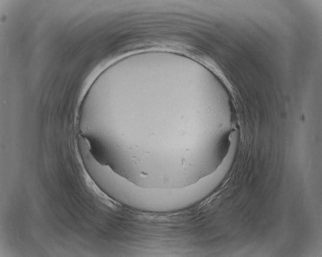 X0000084021532200703161726