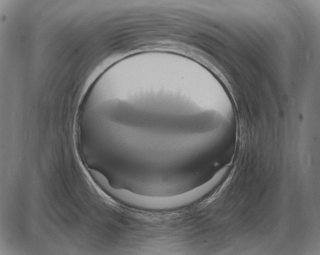 X0000084021533200703161726