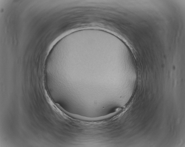 X0000084021534200703161726