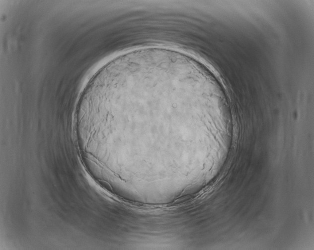 X0000084021535200703161726