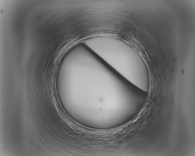 X0000084030001200702160904