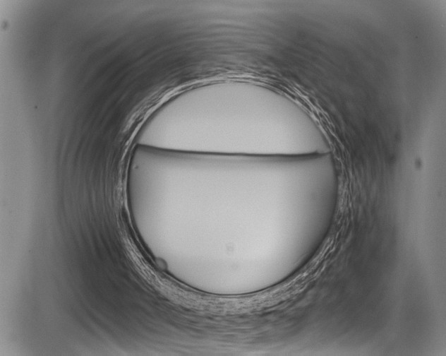 X0000084030002200702160904