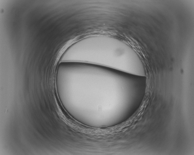 X0000084030003200702160904